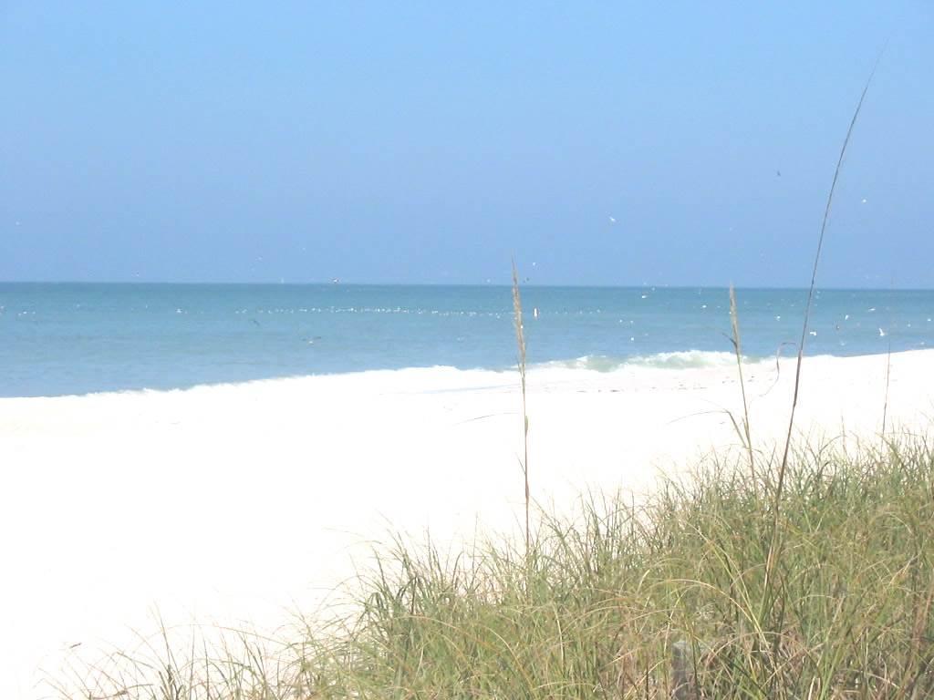 Twin Palms At Siesta Hotel Siesta Key Bagian luar foto